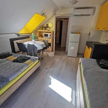 Apartma Lina, Encijan D-38 公寓 博希尼
