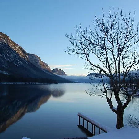 Apartma Lina, Encijan D-38 Lejlighed *