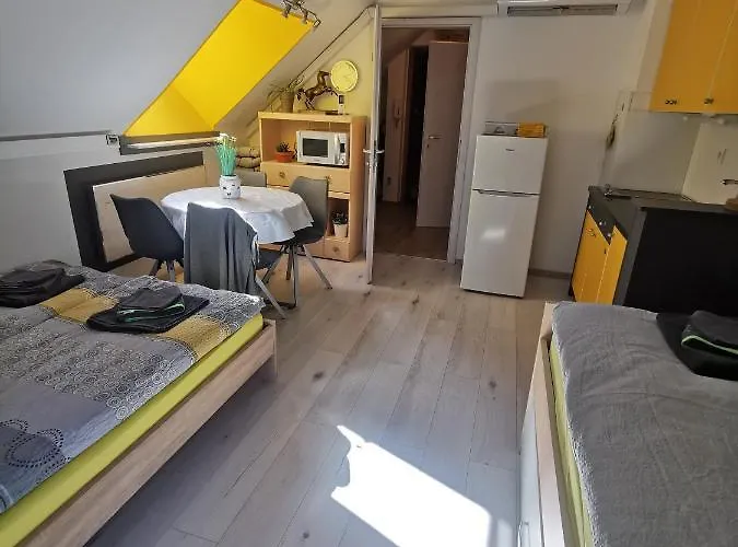 Apartma Lina, Encijan D-38 公寓 博希尼