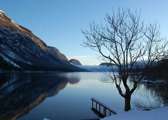 Apartma Lina, Encijan D-38 公寓 *