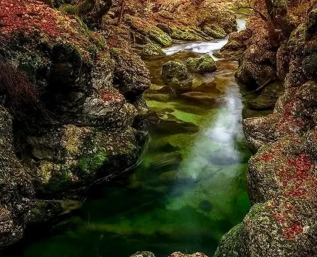 Apartma Lina, Encijan D-38 公寓